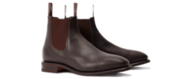 shoe